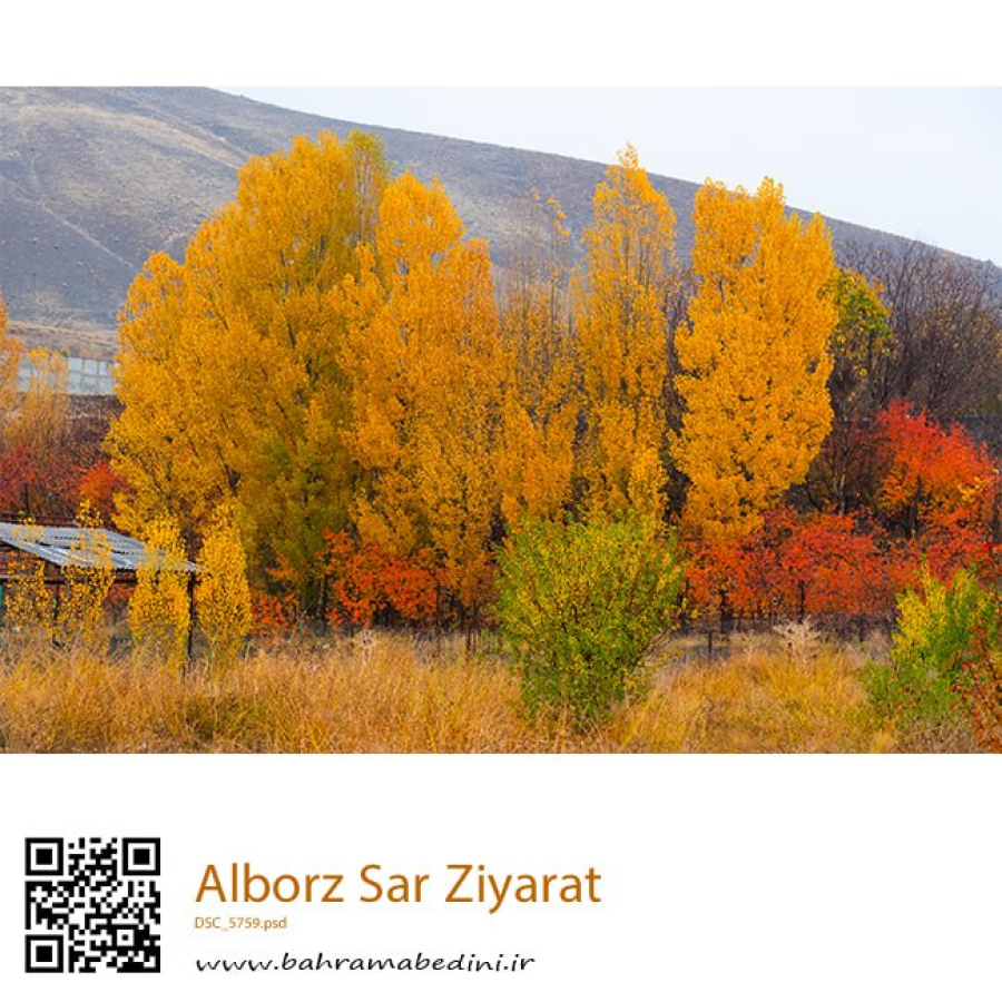 Village of Sar Ziyarat