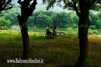 دریاچه عباس آباد بهشهر، سال 1392
