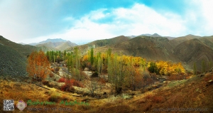 Autumnal colors, valley of Alam Zamin