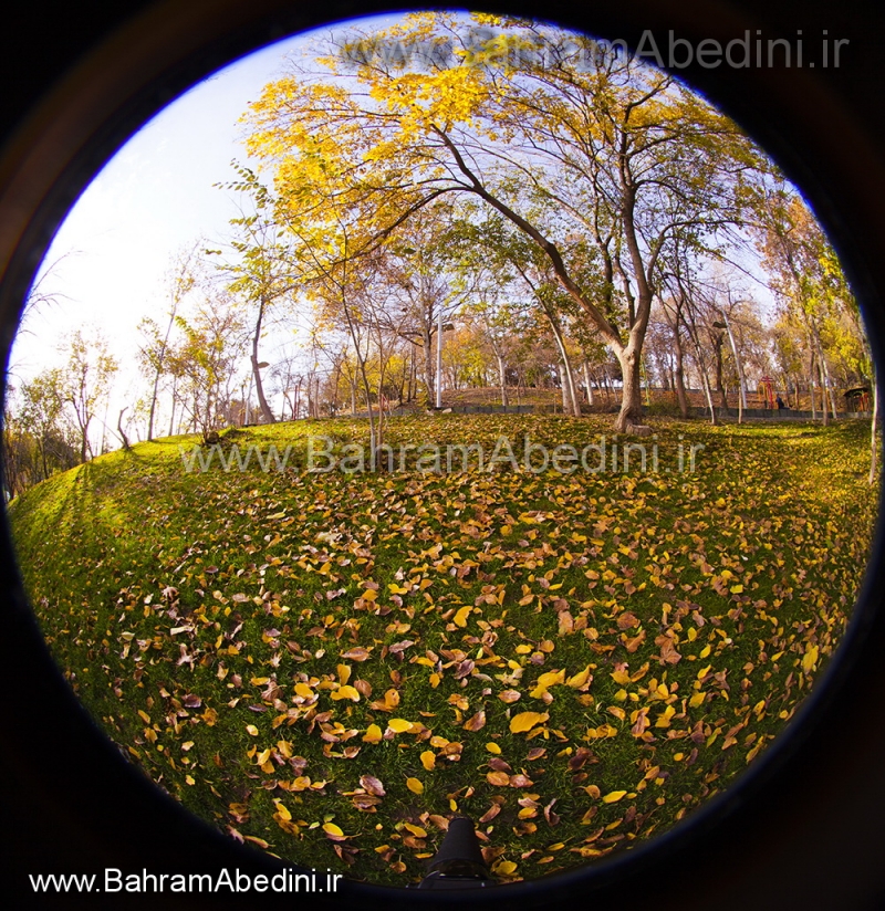 Autumn